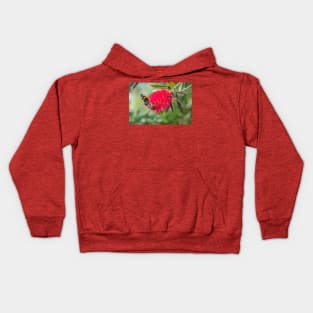 Red Admiral On A Red Bottlebrush Bloom Kids Hoodie